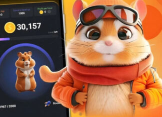 نرمافزار همستر کامبت و چگونگی استفاده از گیمیفیکیشن در جذب مخاطب